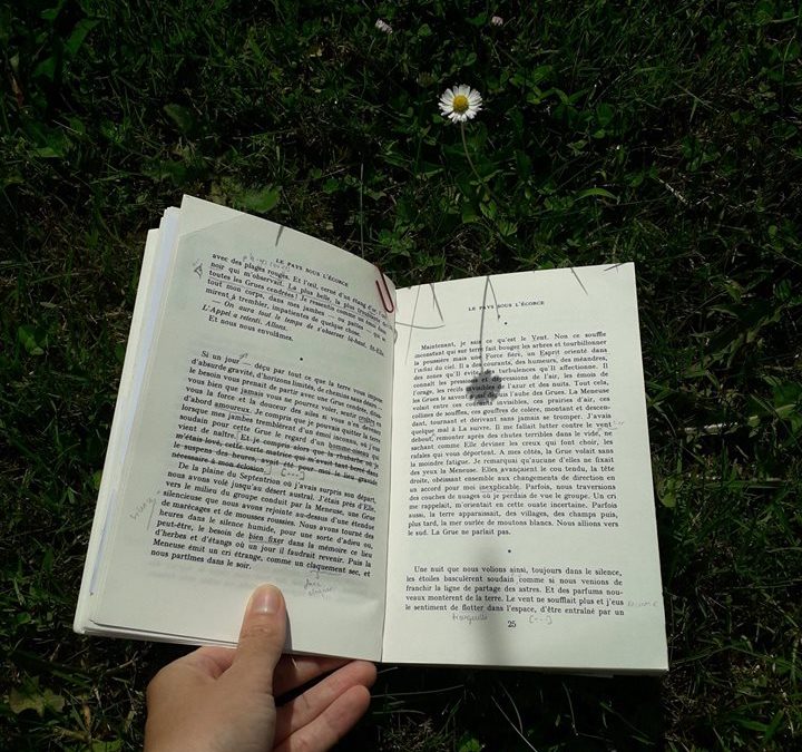 5 coups de coeur « Lecture-Nature » pour l&rsquo;été